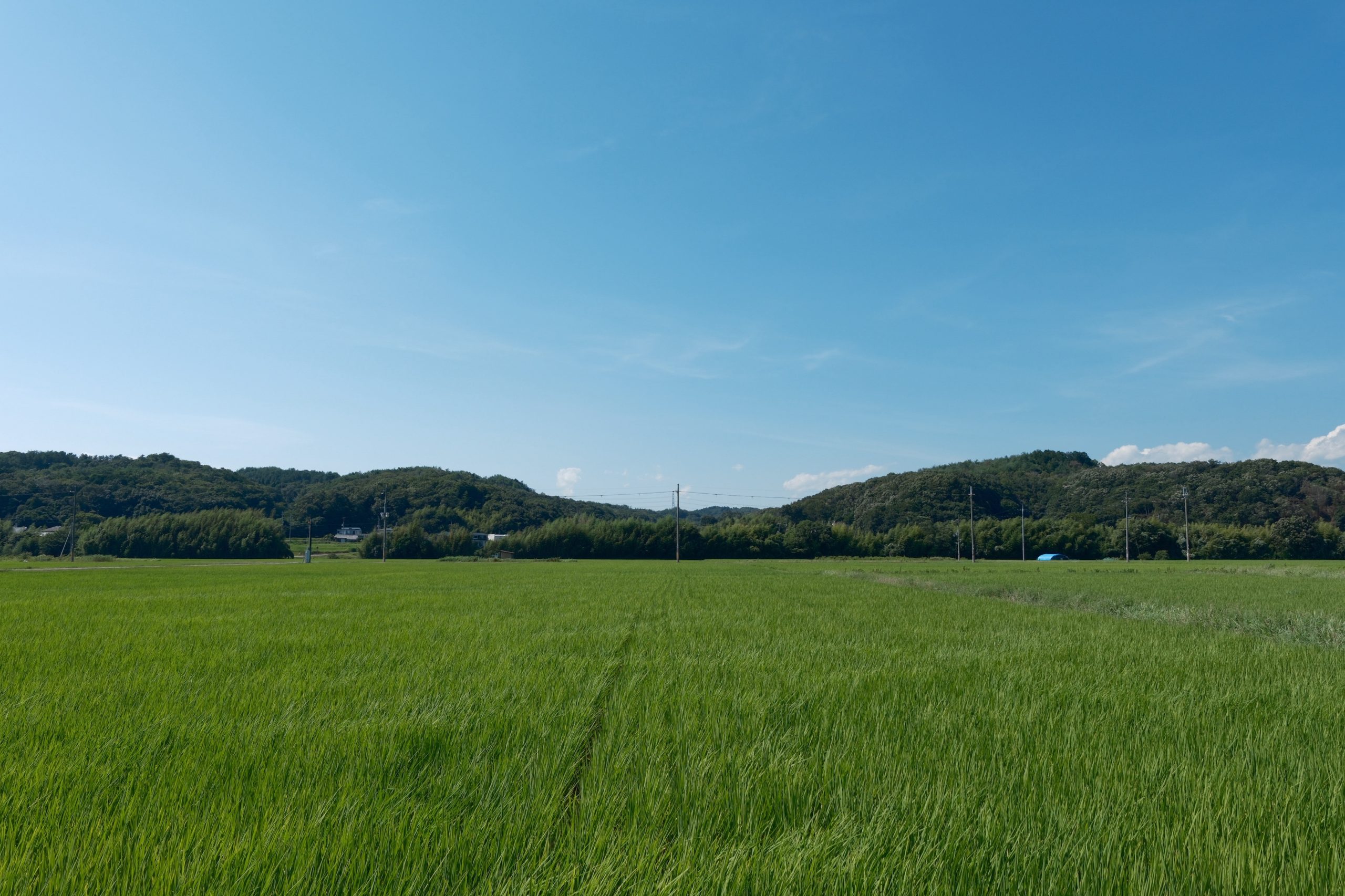 空と田園